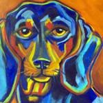 Blue Dachsund